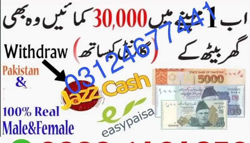 online job Taunsa, Dera Ghazi Khan