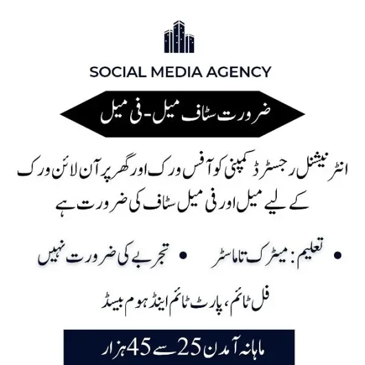 part time, full time, home based online job 100 Quarters, Karachi