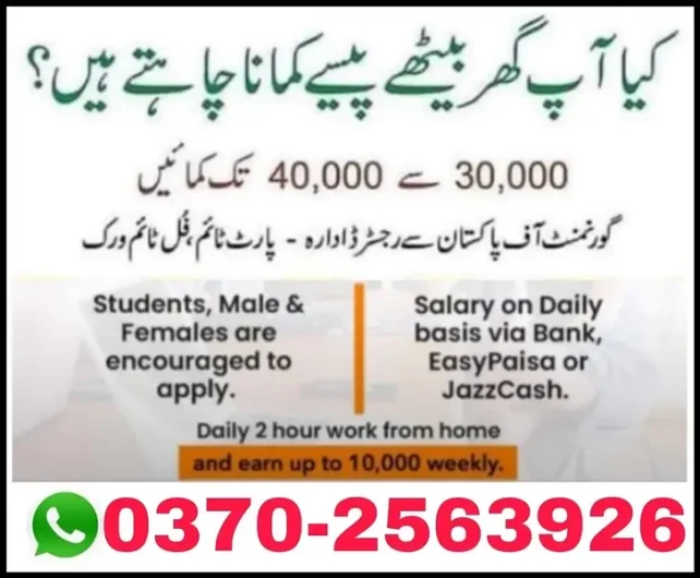 Online work Shalimar Link Road, Lahore