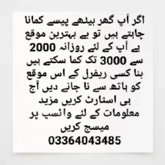 Real Online Earning 2025 100 Quarters, Karachi