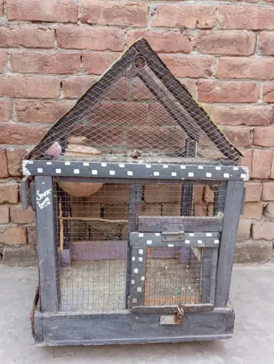 Rs 1,500 wooden Cage Al-Qadir Garden, Faisalabad