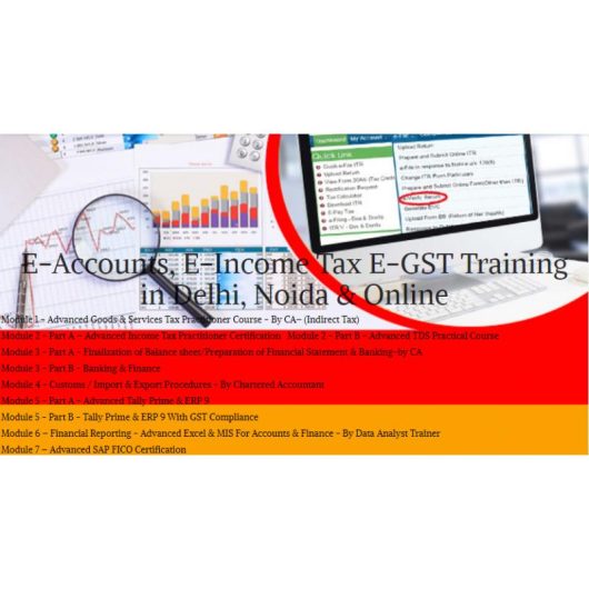 Accounting Course in Delhi, “Learn Direct Tax Code 2025” 110005 SLA Accounting Institute