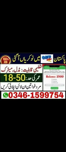 Boys/Girls Online job available,Part time/full time/Typing/Assignment Mall Road, Murree