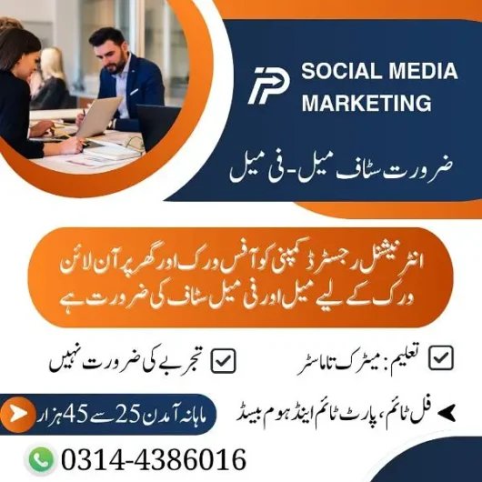 Part time , Full time , Home based Online job Old Punjab House, Rawalpindi