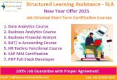 Business Analyst Course in Delhi, 110054 – [with IBM Certificates] “New Year Offer 2025” by [ SLA Consultants India]