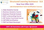 Best Accounting Course in Delhi, “Learn Direct Tax Code 2025” 110032, SLA Accounting Institute, SAP FICO and ERP Tally Prime Institute in Delhi, Noida, “Free SAP FICO till 31 Jan 2025” [ Learn New Skills of Accounting & Finance for 100% Job] in Honda.