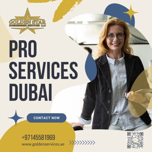 Visa services in Dubai