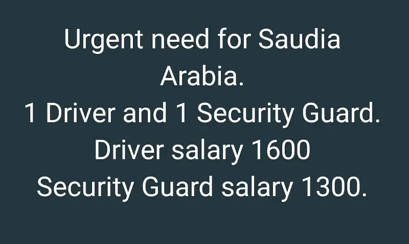 1 Car Driver and 1 Security Guard I-8 Markaz, Islamabad