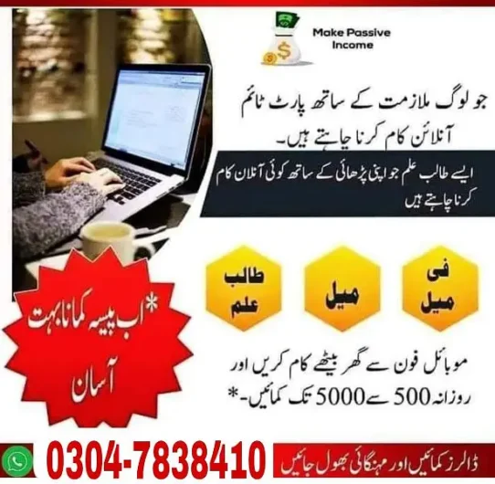 Online earning BZU Road, Multan