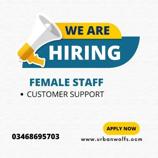 CUSTOMER SUPPORT JOB Factory Area, Faisalabad