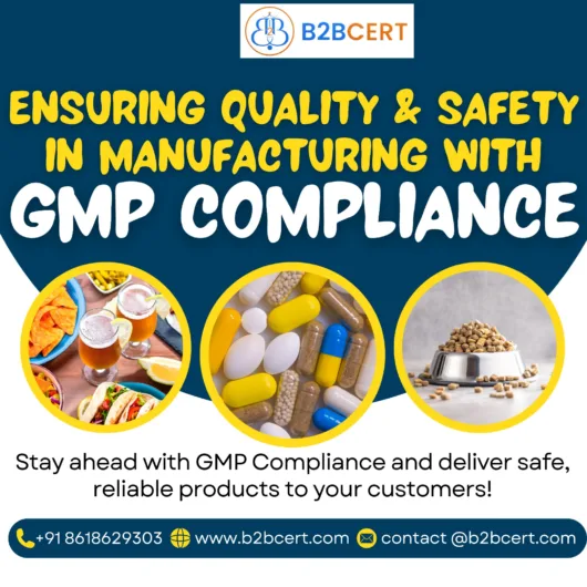 GMP Services in Austin