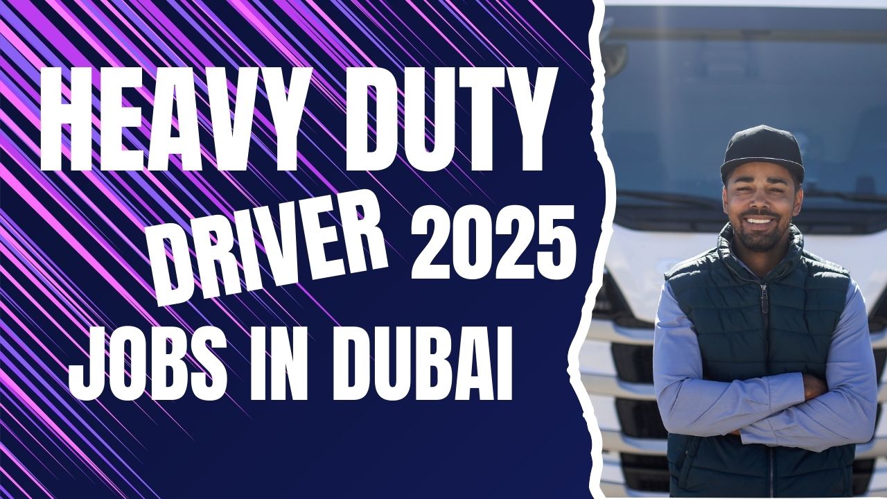 Heavy Bus Driver (Indian/Pakistani)