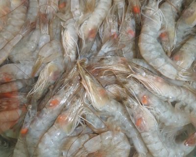 Screenshot_20251127-233127_Gallery