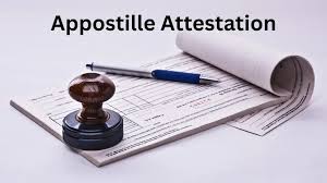 Study/ImmigrationUSA CANADA EUROPE DocumentsAttestation