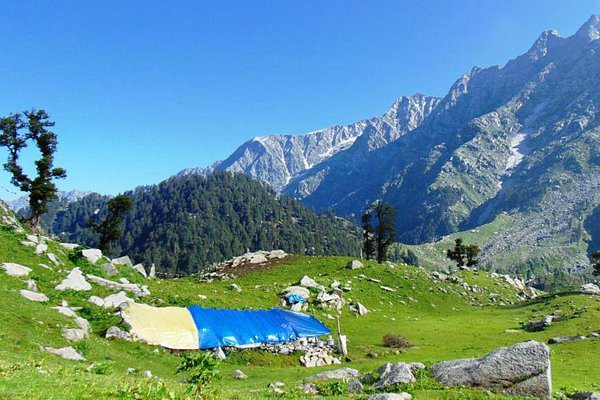 Garden Maintenance Company Abu Dhabi